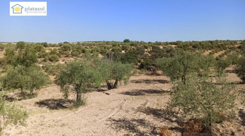 Sevilla - Gerena - 9900m2