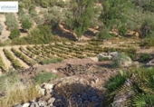 Non-developable land for sale on España, Gerena, ref: TR125969 photo