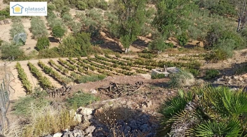 Sevilla - Gerena - 9900m2