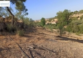 Non-developable land for sale on España, Gerena, ref: TR125969 photo