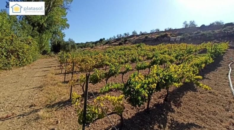 Sevilla - Gerena - 9900m2