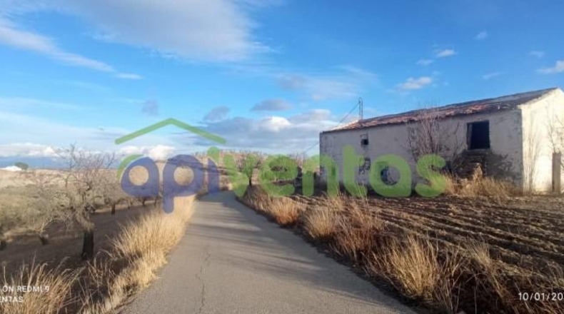 Almería - Vélez-Rubio - 50000m2