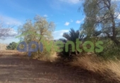 Casa de camp amb terreny en venda a la España, Vélez-Rubio, ref.: TR293532 foto