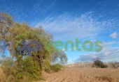 Casa de camp amb terreny en venda a la España, Vélez-Rubio, ref.: TR293532 foto