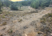 Terreny no urbanitzable en venda a la España, la Romana, ref.: TR126911 foto