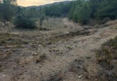 Terreny no urbanitzable en venda a la España, la Romana, ref.: TR126911 foto