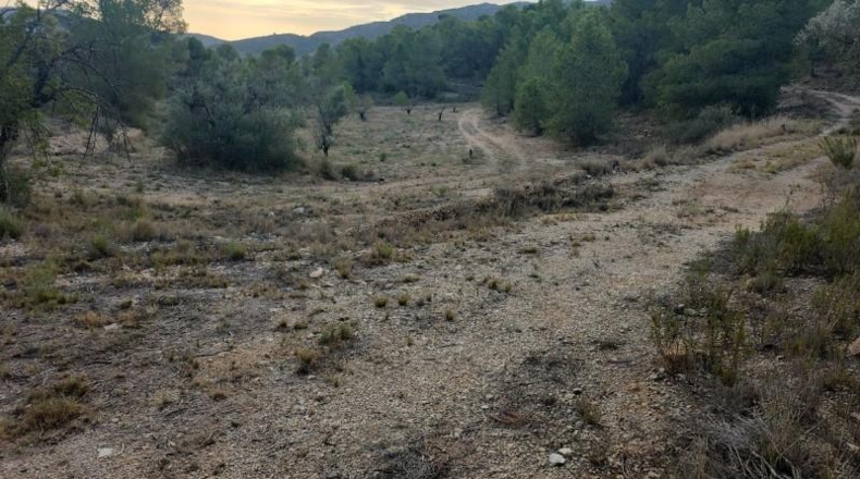 Alicante - la Romana - 33000m2