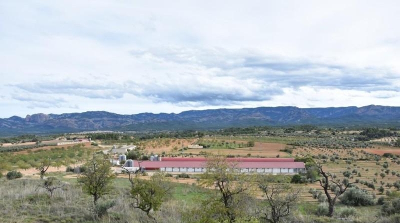Teruel - Queretes - 6081m2