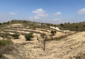 Casa de pueblo en venta en la España, Abanilla, ref: TR300467 foto
