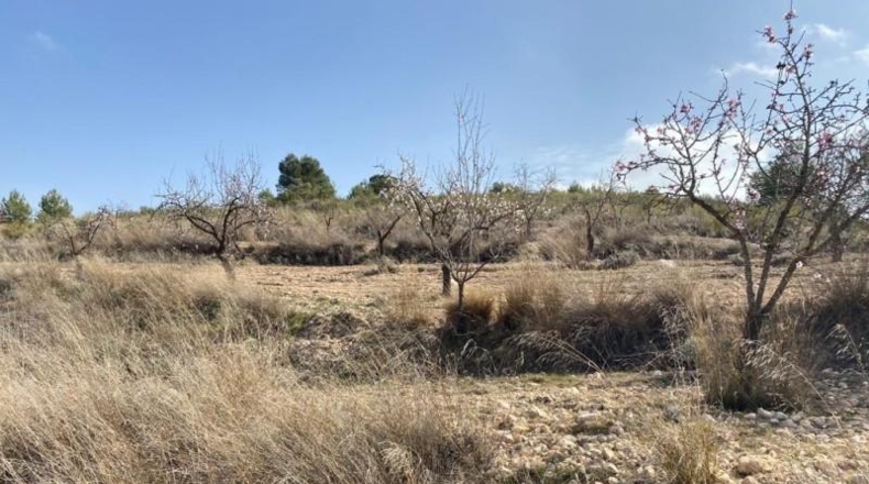 Murcia - Fortuna - 22m2