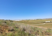 Sòl urbà en venda a la España, Sanlúcar de Barrameda, ref.: TR128043 foto