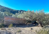 Terreno no urbanizable en venta en la España, el Perelló, ref: TR128115 foto