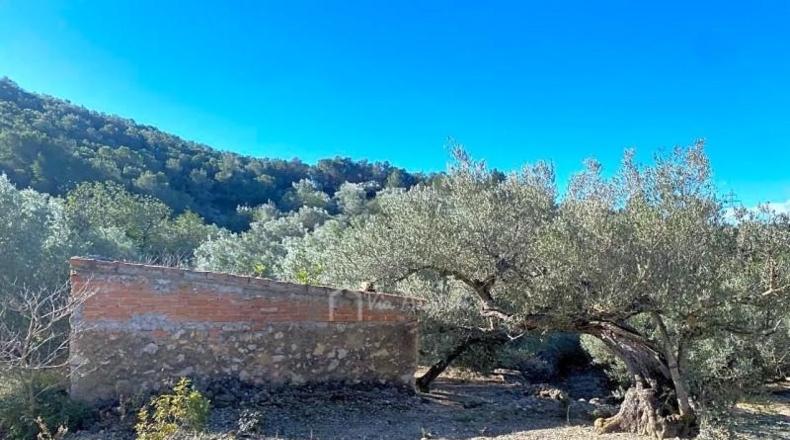 Tarragona - el Perelló - 39863m2