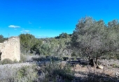 Terreno no urbanizable en venta en la España, el Perelló, ref: TR128115 foto