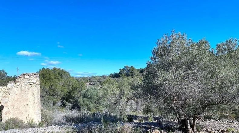Tarragona - el Perelló - 39863m2