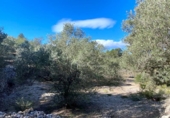 Terreno no urbanizable en venta en la España, el Perelló, ref: TR128115 foto