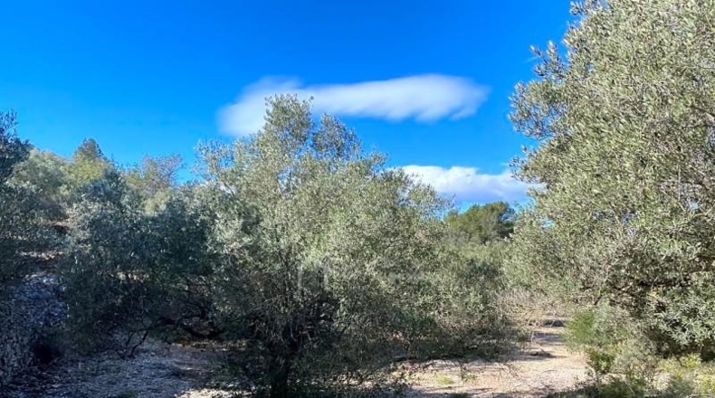 Tarragona - el Perelló - 39863m2