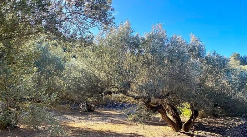 Tarragona - el Perelló - 39863m2