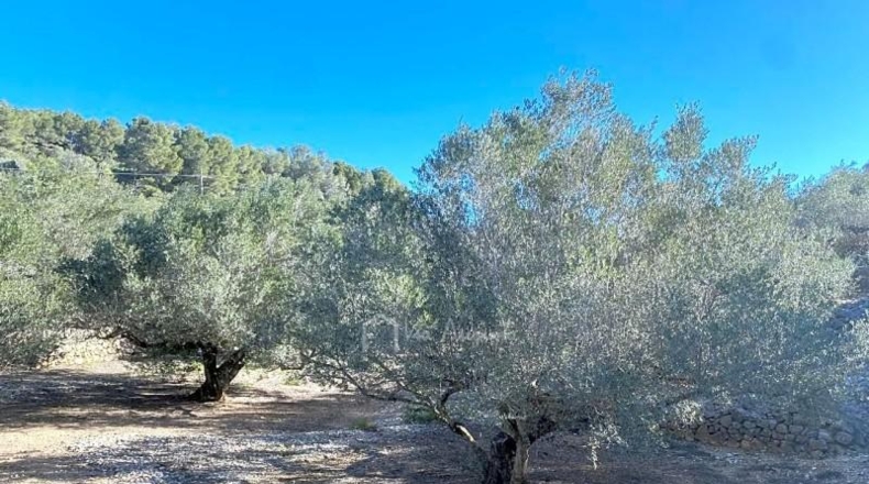 Tarragona - el Perelló - 39863m2