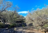 Terreno no urbanizable en venta en la España, el Perelló, ref: TR128115 foto