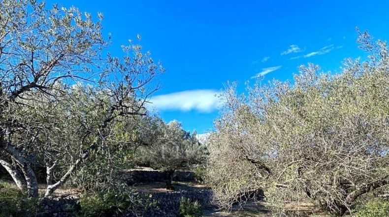 Tarragona - el Perelló - 39863m2