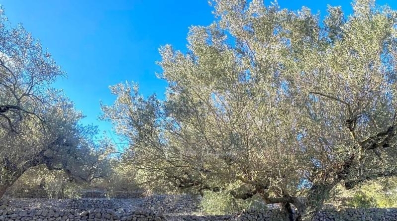 Tarragona - el Perelló - 39863m2