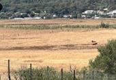 Terreny no urbanitzable en venda a la España, Vejer de la Frontera, ref.: TR131864 foto