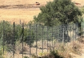 Terreny no urbanitzable en venda a la España, Vejer de la Frontera, ref.: TR131864 foto
