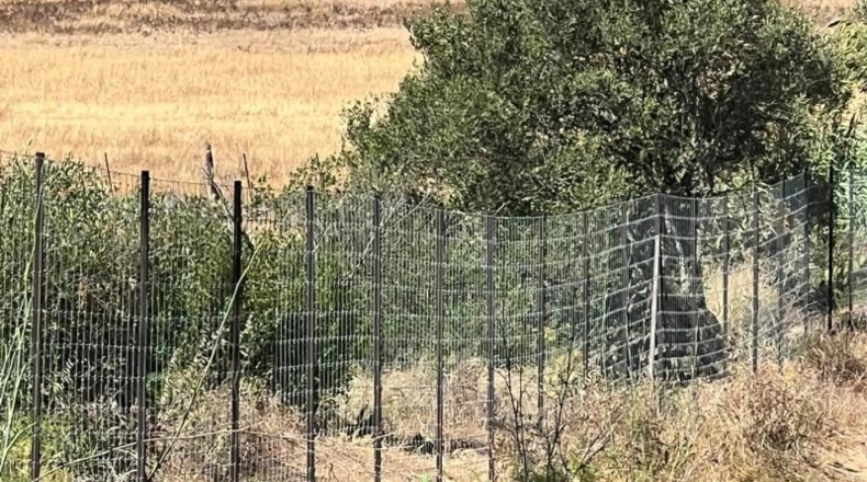 Cadiz - Vejer de la Frontera - 45000m2