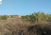 Terreny no urbanitzable en venda a la España, Chiclana de la Frontera, ref.: TR170305 foto
