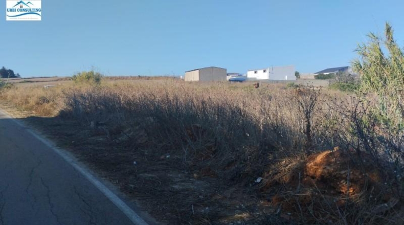 Cádiz - Chiclana de la Frontera - 1600m2