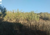 Terreny no urbanitzable en venda a la España, Chiclana de la Frontera, ref.: TR170305 foto