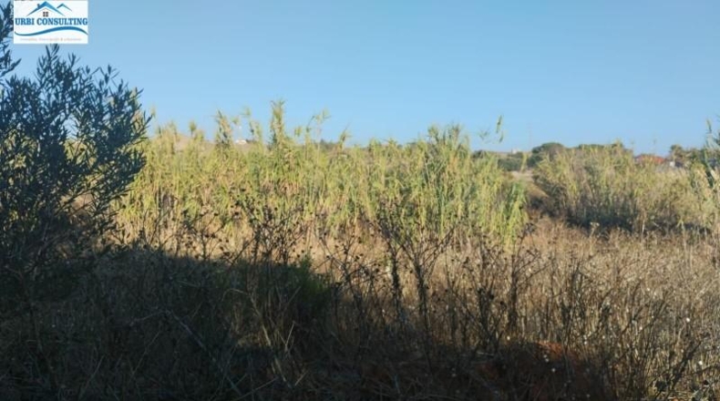 Cádiz - Chiclana de la Frontera - 1600m2