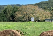 Sòl urbà en venda a la España, Coirós de Abaixo, ref.: TR172450 foto