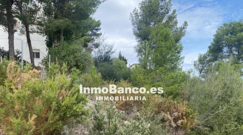 València - Torrente - 732m2