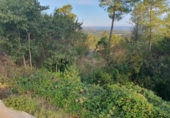 Земля, подлежащая урбанизации на продажу у города Sant Quintí de Mediona Фото