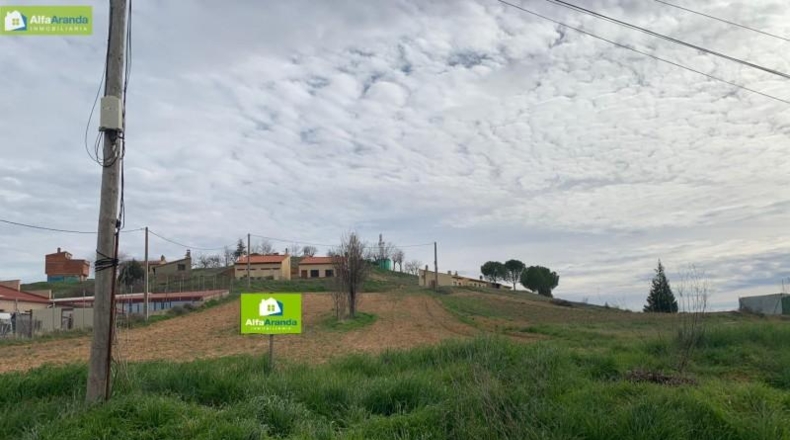 Burgos - Gumiel de Mercado - 1800m2