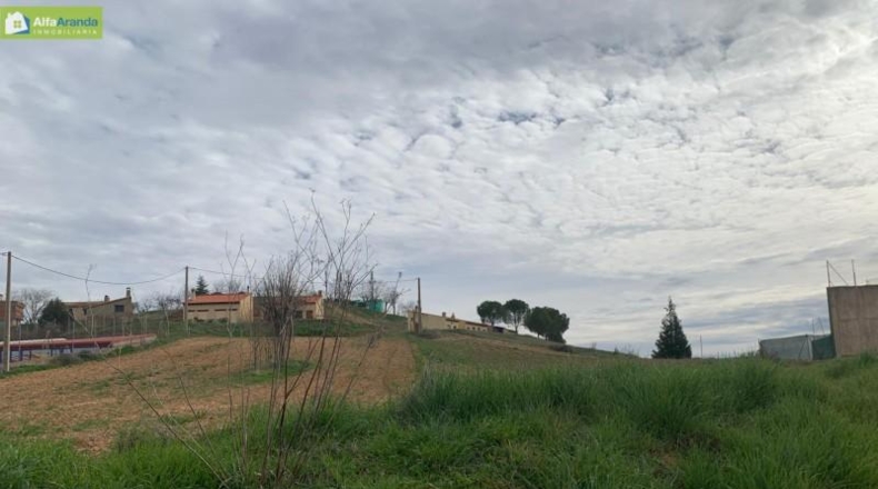 Burgos - Gumiel de Mercado - 1800m2