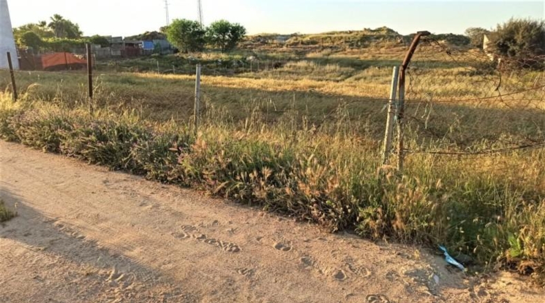 Sevilla - Gerena - 2515m2