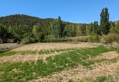Chalet independiente con terreno en venta en la España, Valderrobres, ref: TR298852 foto