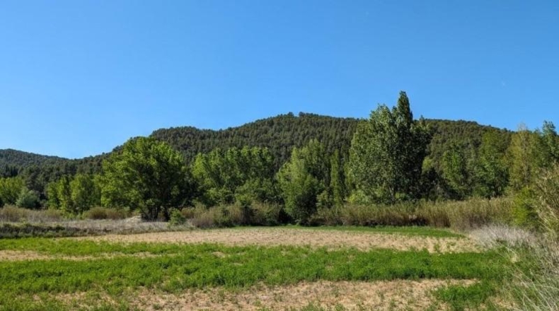 Teruel - Valderrobres - 7922m2