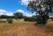 Sòl urbà en venda a la España, Badajoz, ref.: TR130927 foto