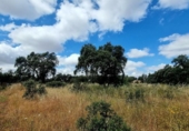 Sòl urbà en venda a la España, Badajoz, ref.: TR130927 foto