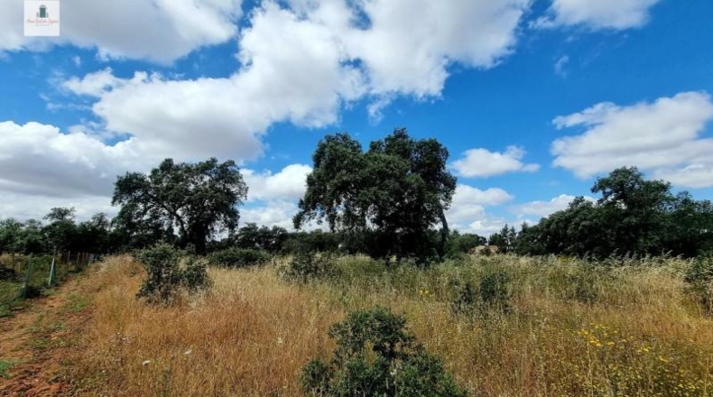 Badajoz - Badajoz - 5575m2