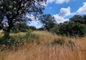 Sòl urbà en venda a la España, Badajoz, ref.: TR130927 foto