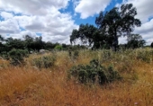 Sòl urbà en venda a la España, Badajoz, ref.: TR130927 foto
