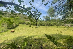 Bustriguado 6580&nbsp;м²