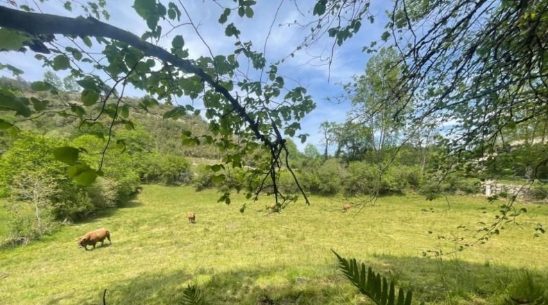 Cantàbria - Bustriguado - 6580m2