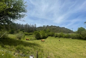 Bustriguado 6580&nbsp;м²