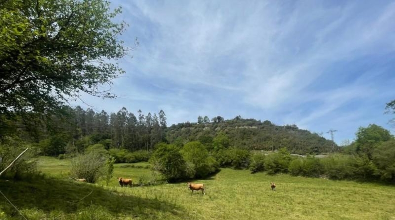 Cantàbria - Bustriguado - 6580m2